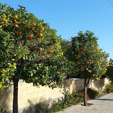 Villa Mimosa Pissouri
