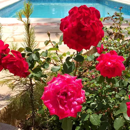 Mimosa Villa Pissouri